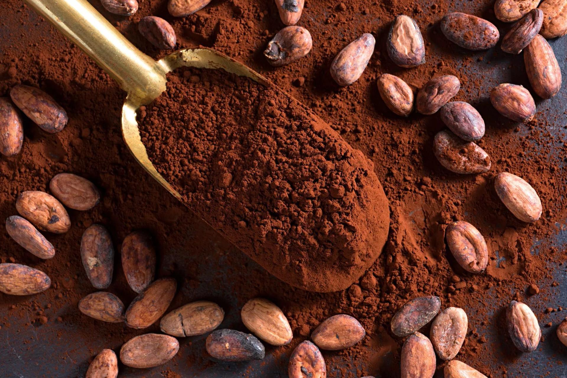 11 lợi ích sức khỏe và dinh dưỡng của bột cacao