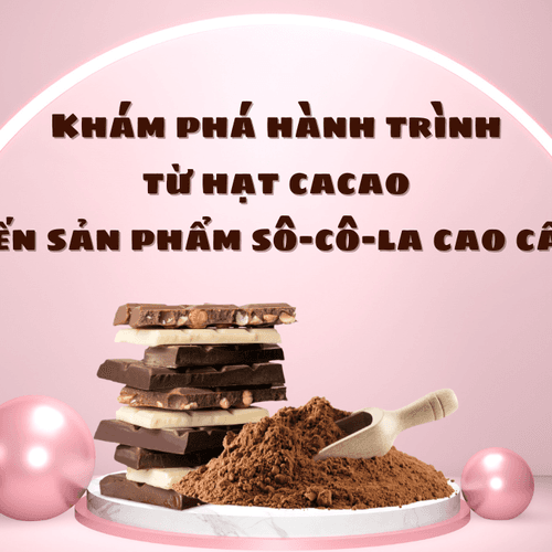 Nhân dịp ngày quốc tế phụ nữ 8/3 hãy cùng khám phá hành trình từ hạt cacao đến sản phẩm sô-cô-la cao cấp