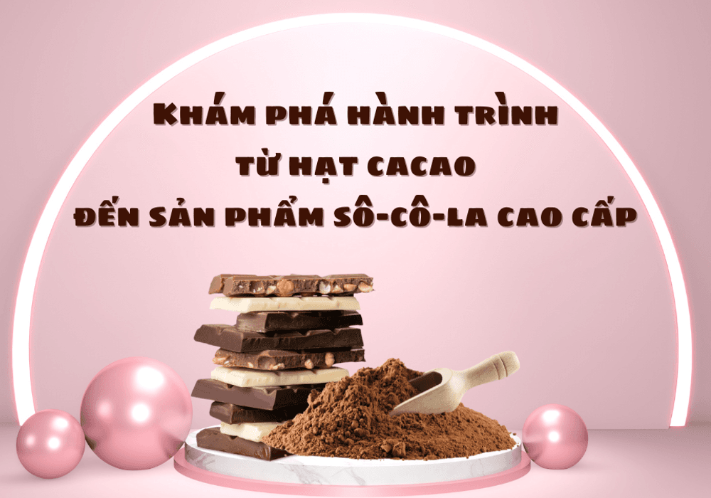 Khám phá hành trình từ hạt cacao đến sản phẩm sô-cô-la cao cấp