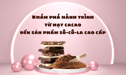 Khám phá hành trình từ hạt cacao đến sản phẩm sô-cô-la cao cấp
