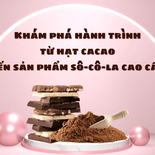 Khám phá hành trình từ hạt cacao đến sản phẩm sô-cô-la cao cấp